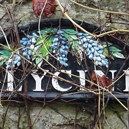 Apartmán Le Glycine A Manoir Sainte Cecile Juvigny-Val-d'Andaine Exteriér fotografie